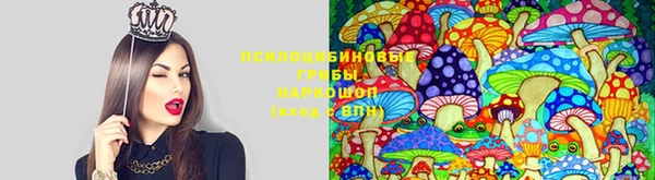 дурь Белокуриха