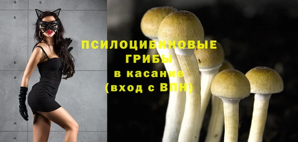 прущий лед Беломорск