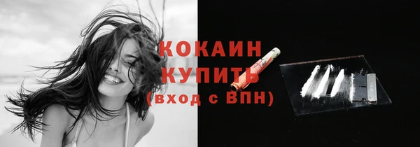 индика Белоозёрский