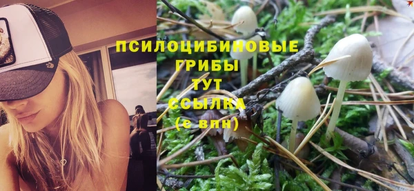 индика Белоозёрский