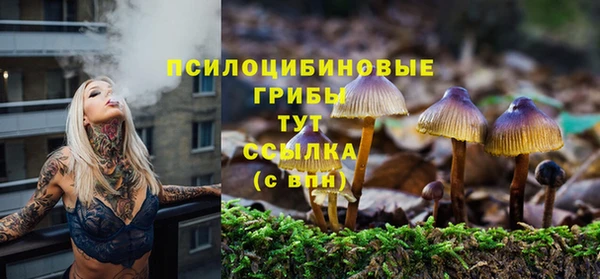 дурь Белокуриха