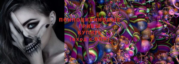 индика Белоозёрский