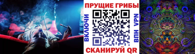 Псилоцибиновые грибы Psilocybine cubensis  KRAKEN ссылка  Костерёво 